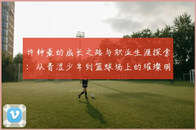 许钟豪的成长之路与职业生涯探索：从青涩少年到篮球场上的璀璨明星