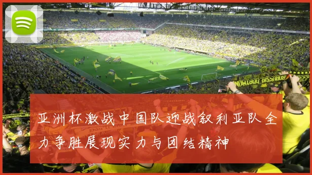 亚洲杯激战中国队迎战叙利亚队全力争胜展现实力与团结精神
