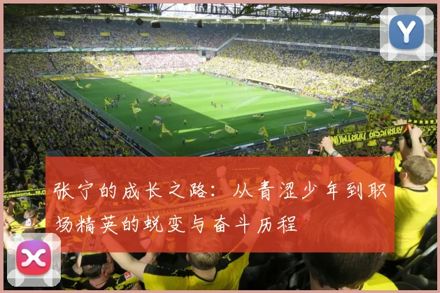 张宁的成长之路：从青涩少年到职场精英的蜕变与奋斗历程