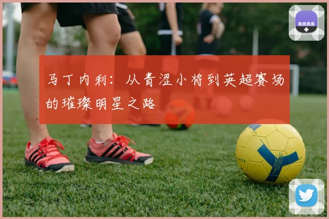 马丁内利：从青涩小将到英超赛场的璀璨明星之路