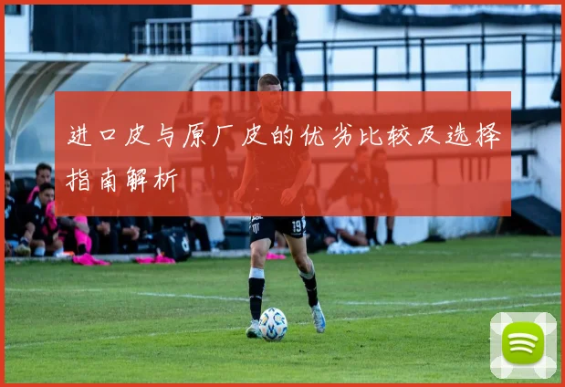 进口皮与原厂皮的优劣比较及选择指南解析