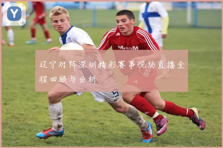 辽宁对阵深圳精彩赛事现场直播全程回顾与分析