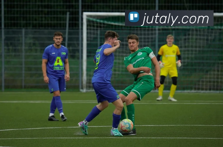 多媒体互动体验